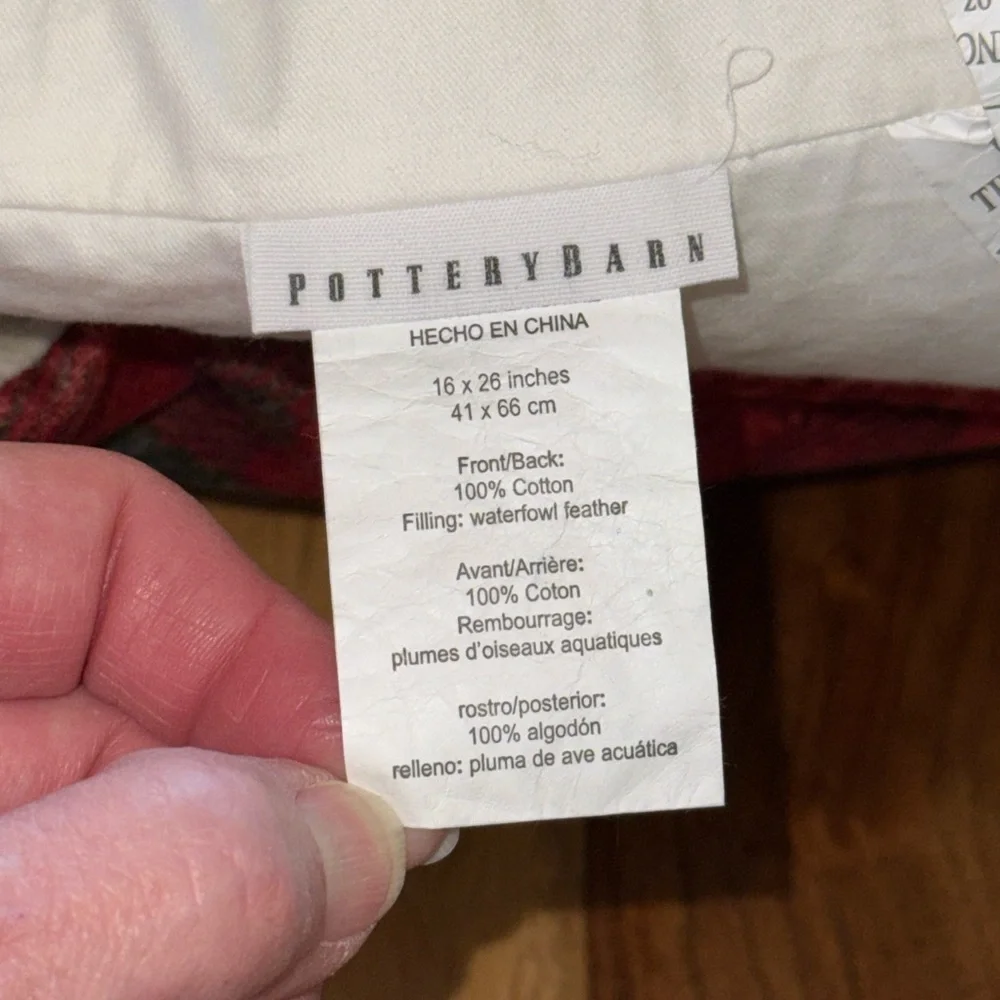 Pottery Barn Quay Velvet 16” x 26” Lumbar Accent Pillow With Feather Insert